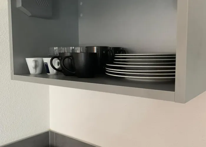 Elegant F2 Luxueux Proche Suisse