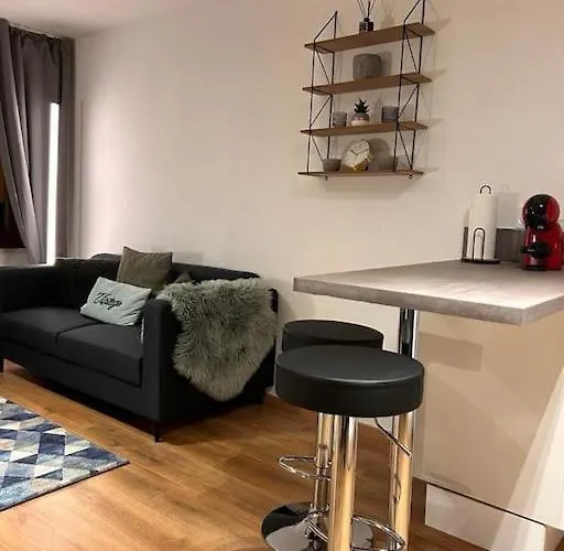 Elegant F2 Luxueux Proche Suisse