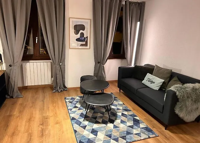 Elegant F2 Luxueux Proche Suisse
