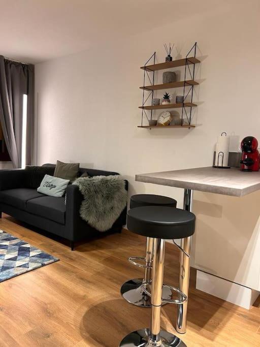 Apartment Elegant F2 Luxueux Proche Suisse Delle