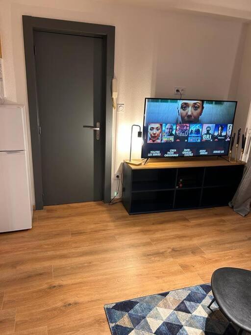 Elegant F2 Luxueux Proche Suisse *