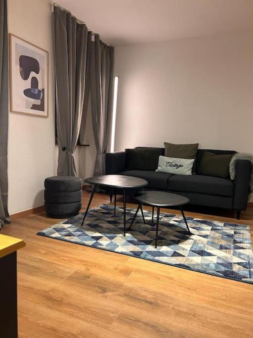 Elegant F2 Luxueux Proche Suisse * Delle